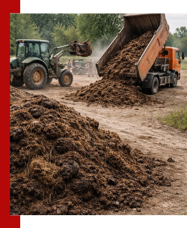 Доставка навоза самосвалами в Лесозаводске для сельхозпотребностей
